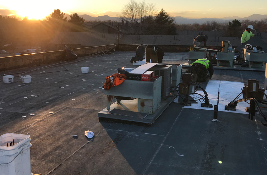 School & University Roofing